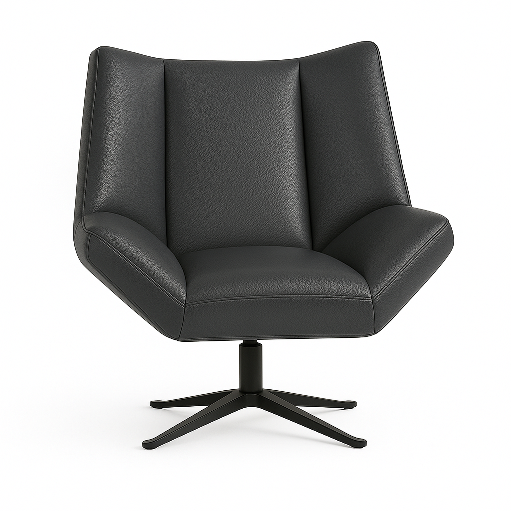 Fotoliu piele ANTRACIT | model STEA