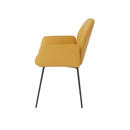 Scaun piele ROSIE | model PETRA