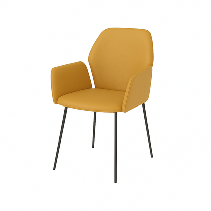 Scaun piele ROSIE | model PETRA